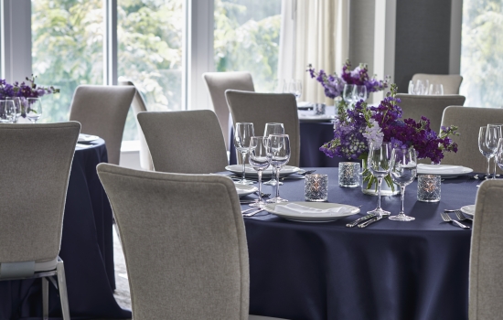 Hotel Landing Wayzata Ballroom