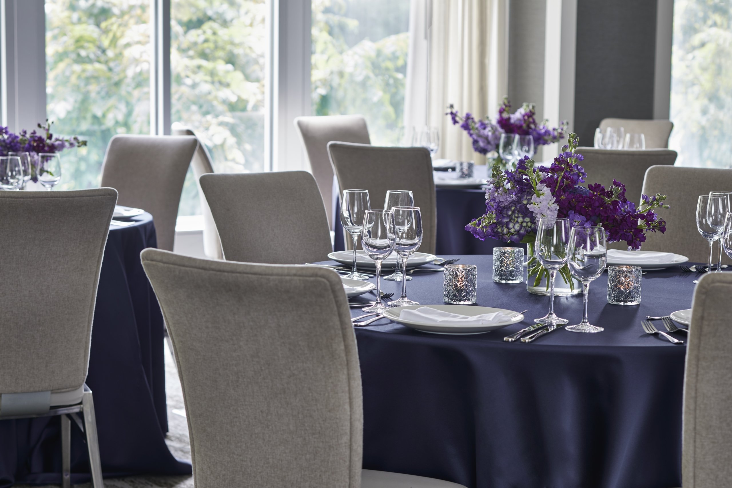 Hotel Landing Wayzata Ballroom