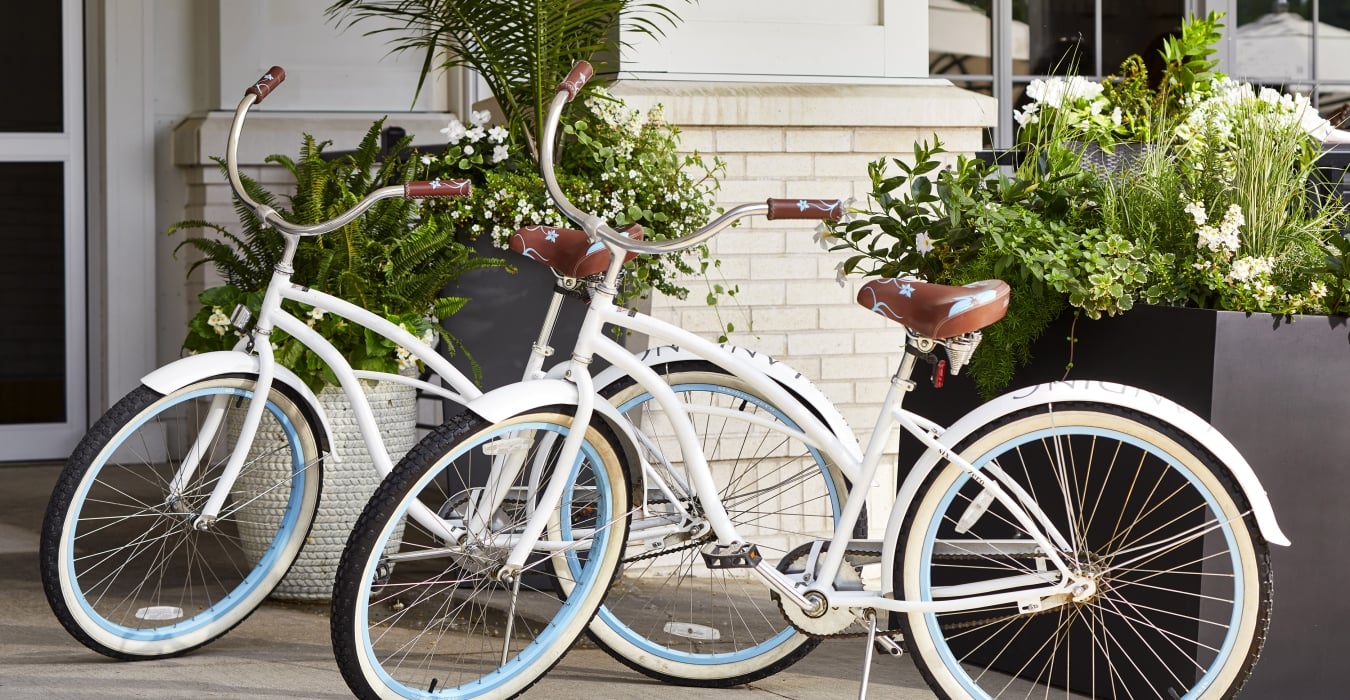 Cruiser bikes parked in front of hotel entrance