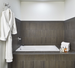 bathroom luxury suite