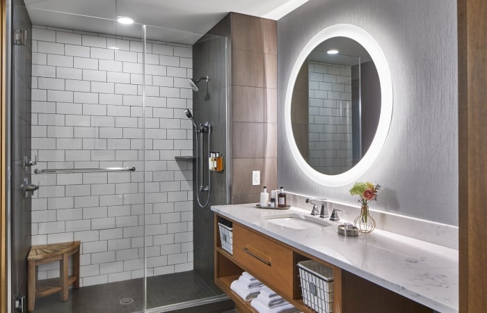 wayzata suite bathroom