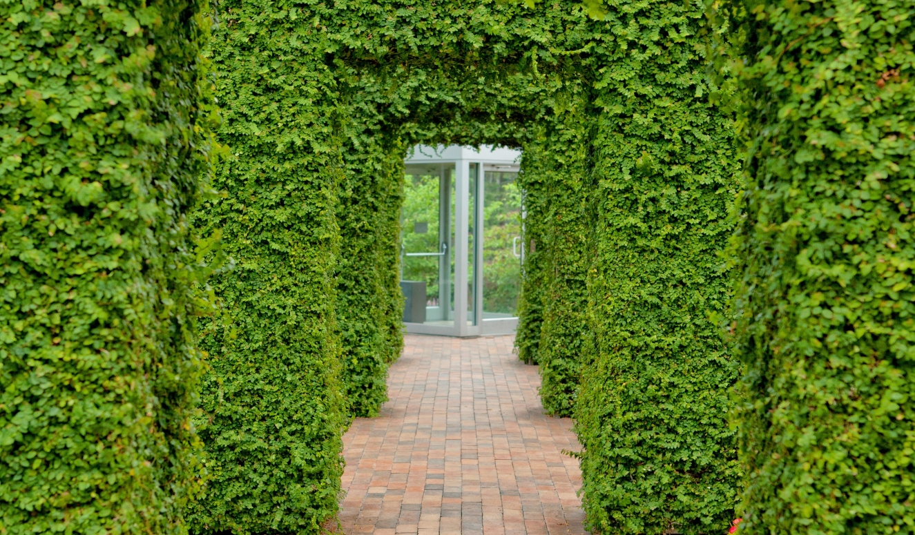 Plant tunnel