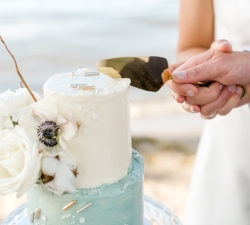 bride and groom cutting the cake