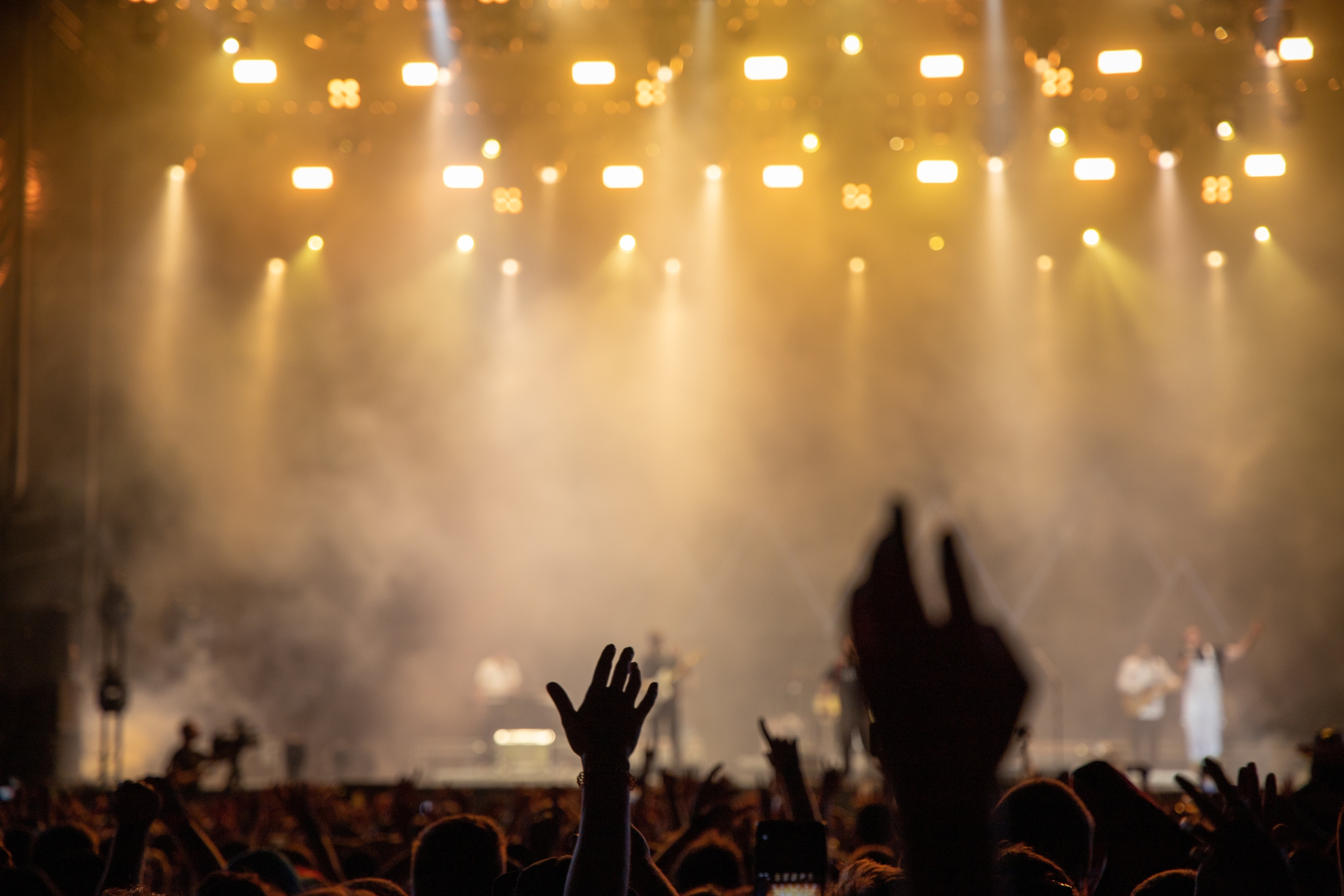People at a concert