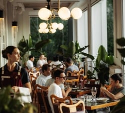 People dining in a sunlit cafe along a windowed wall with wooden chairs and green plants, a globe chandelier overhead